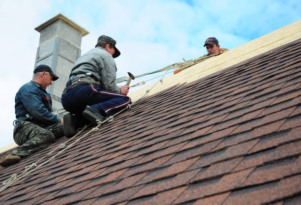 Professional Roofing Contractor in Rainbow Springs, FL